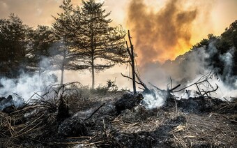 Оценка ущерба после стихийного бедствия в Рязани: отчет оценщика